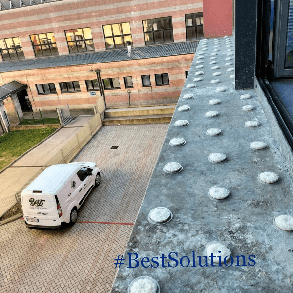 Logo Best Solutions Disinfestazioni: Insetti, Topi, Piccioni e Volatili